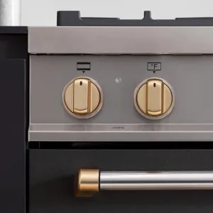 Bertazzoni DSMASGKSG Satin Gold 10 Knobs All Gas Range Accessories oven racks and replacement trays