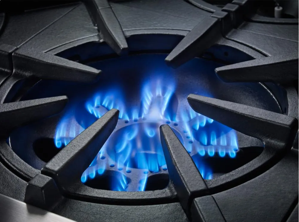 Bluestar BSPRT244B 24" Platinum Rangetop