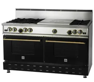Bluestar RNB606FTV2 60" Rnb Series Range With 24" French Top Professional Ranges commercial oven for home kitchen