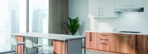 Elica EAL336S1 Allasio 36" Ss Ducted Hoods high cfm ducted range hood