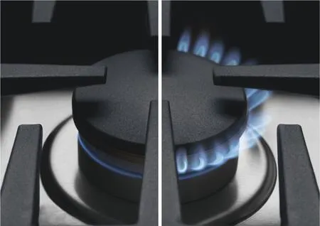 Fisher & Paykel CPV2486GDLN Gas Rangetop, 48", Griddle, Lpg