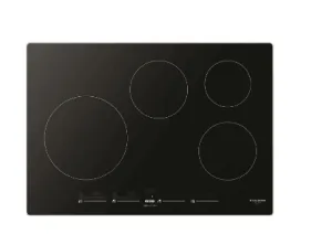 Fulgor Milano F7IT30S1 30'' Induction Cooktop Induction portable induction cooktop double burner