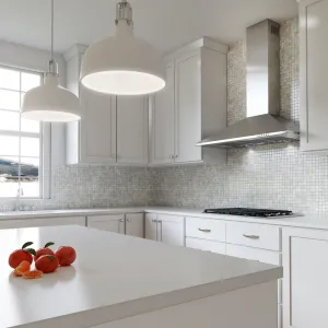 Xo Appliance XOB24SC 24" 600/395 Cfm Italian Made Wall Mount Chimney Range Hood Stainless Ducted Hoods under cabinet ducted hood