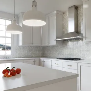 Xo Appliance XOB30SC 30" 600/395 Cfm Italian Made Wall Mount Chimney Range Hood Stainless Professional Hoods 36 inch wall mount hood