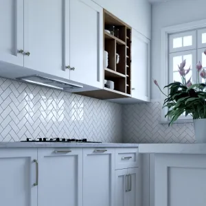 Xo Appliance XOI21SMUA 395 Cfm 21" Insert For Custom Built Hood Italian Made Professional Hoods 36 inch wall mount hood
