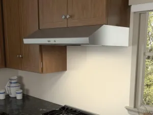 Zephyr AK6500CS 30" Cyclone Under-Cabinet Ducted Hoods under cabinet ducted hood