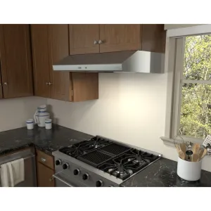 Zephyr AK6542BS 42" Cyclone Under-Cabinet Professional Hoods 36 inch wall mount hood
