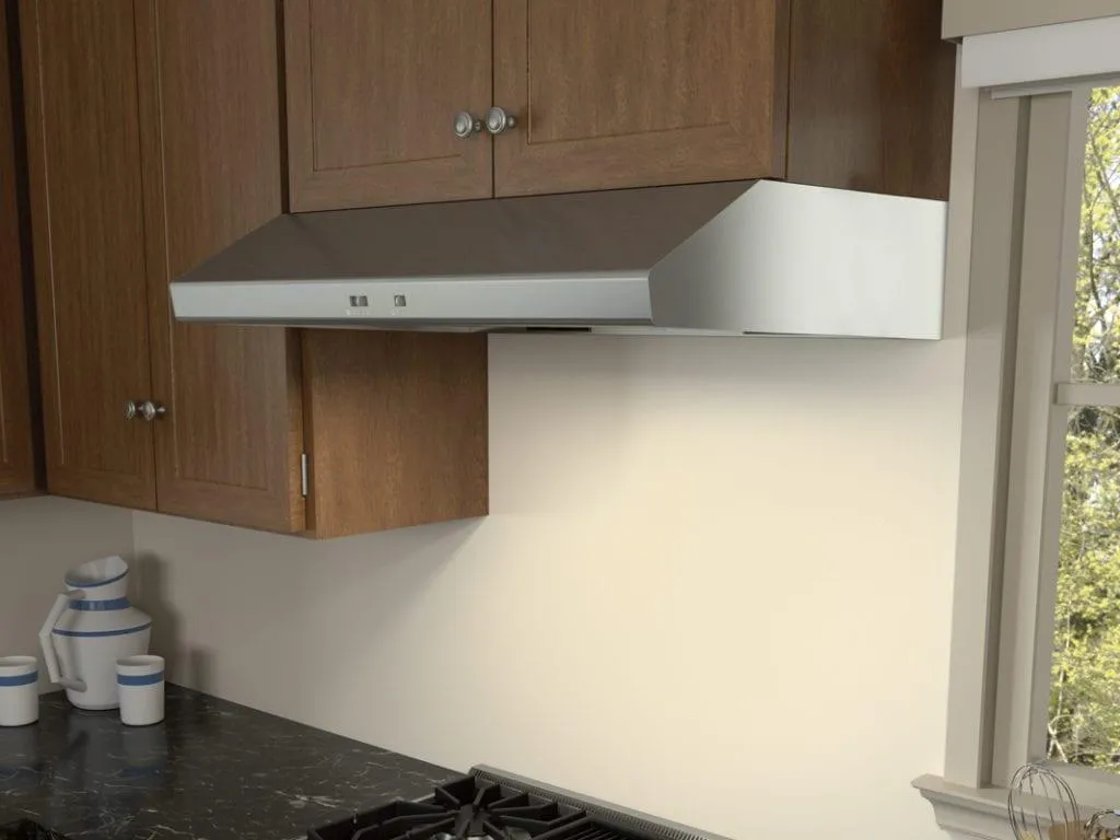 Zephyr AK6542CS 42" Cyclone Under-Cabinet Professional Hoods 36 inch wall mount hood