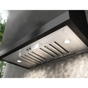 Zephyr AK8800AG 29" Willow Insert Outdoor Ventilation Range Hoods high suction kitchen exhaust hood