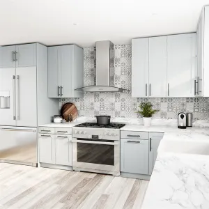 Zephyr BMIE30CG Brisas Curved Canopy Wall Ducted Hoods high cfm ducted range hood