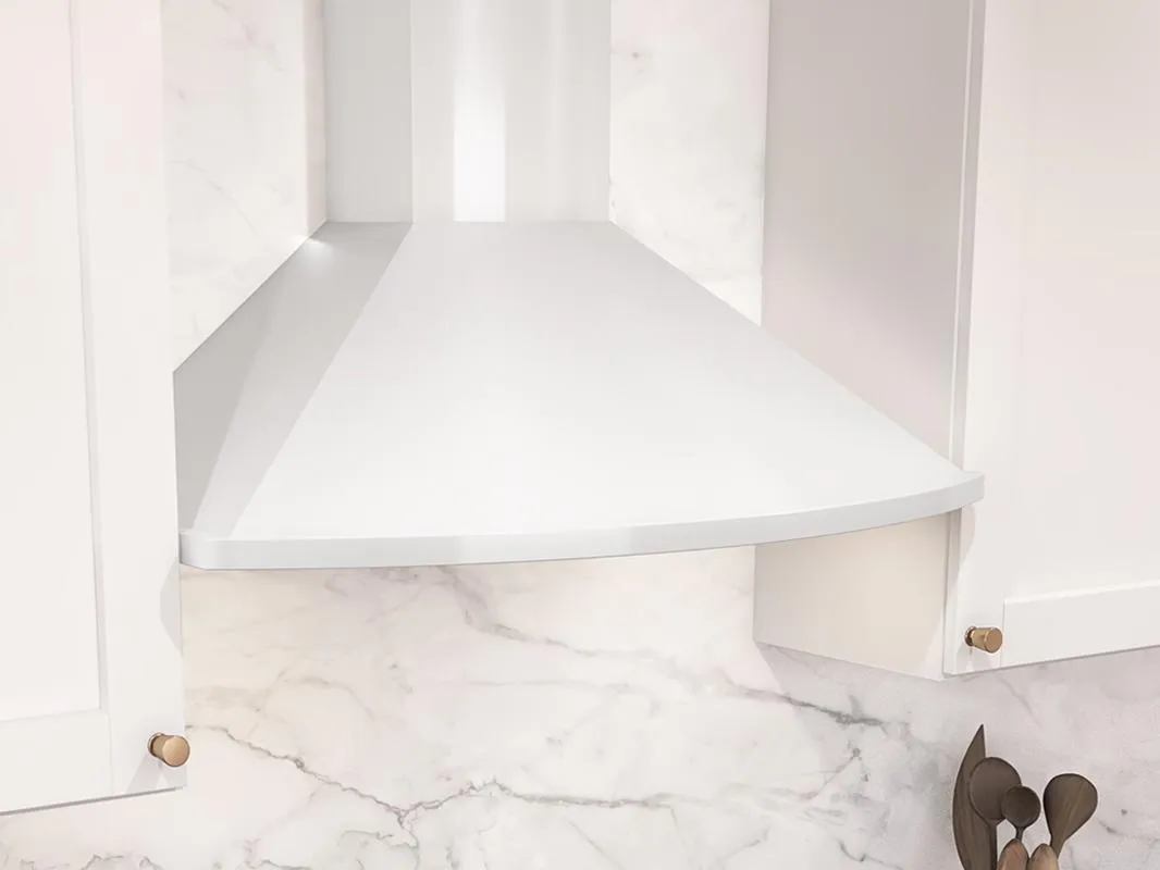 Zephyr ZSAE30FS 30" Savona Wall