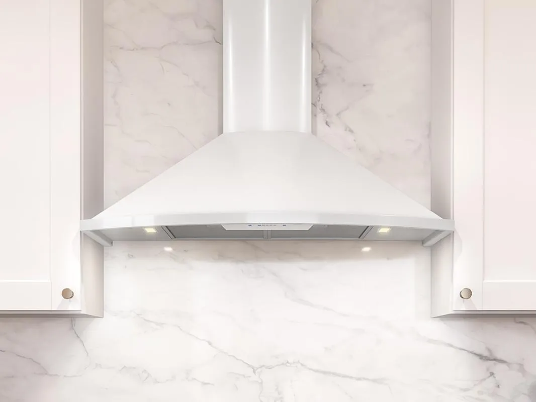 Zephyr ZSAM90FBS 36" Savona Wall